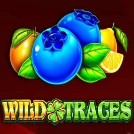 Wild Traces slot icon by Amusnet Interactive, available at Lizaro Casino